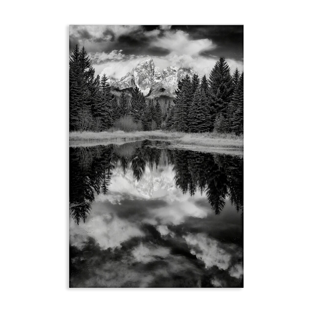 Stupell Industries Black & White Forest Reflection Canvas Wall Art Design by Rick Berk